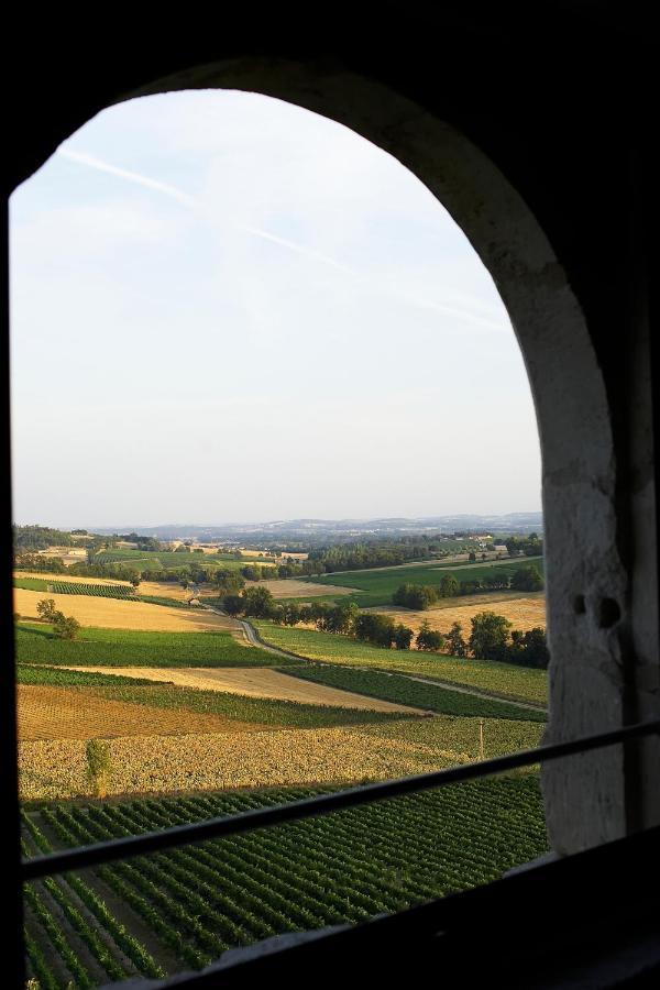 Chateau De Salettes Cahuzac-sur-Vère Exterior foto