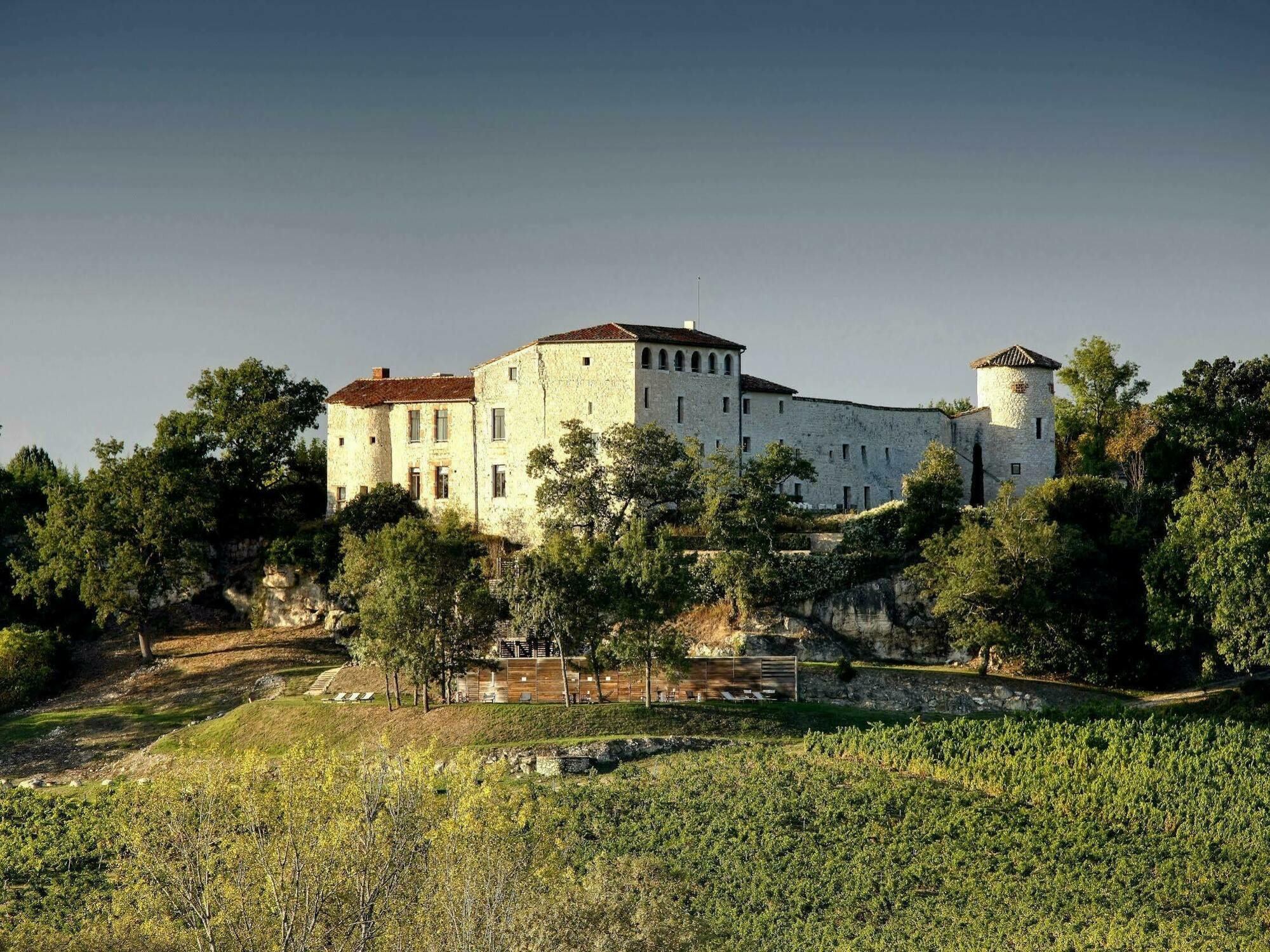 Hotel Chateau De Salettes Cahuzac-sur-Vère Exterior foto